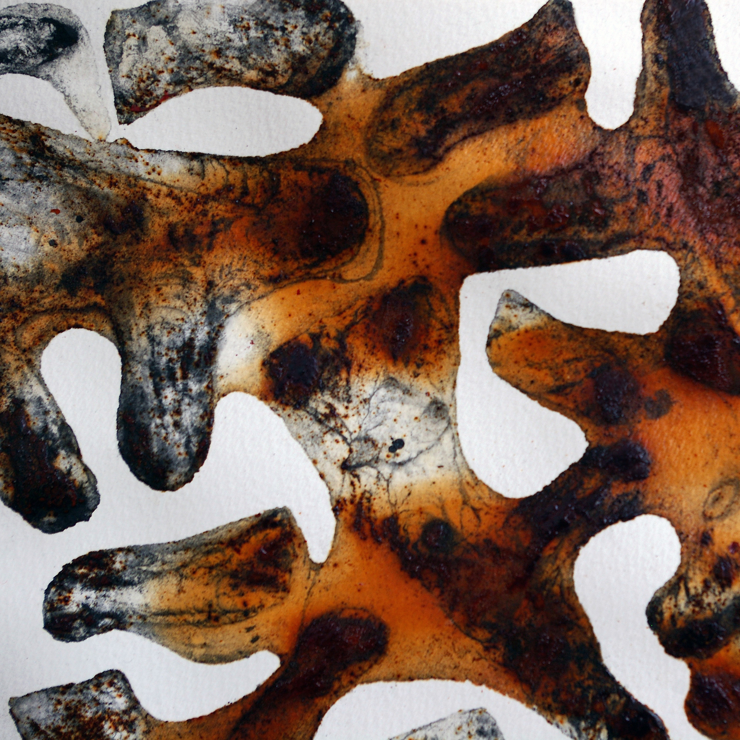 Twice-Vanished Form I, 2015. (Detail).