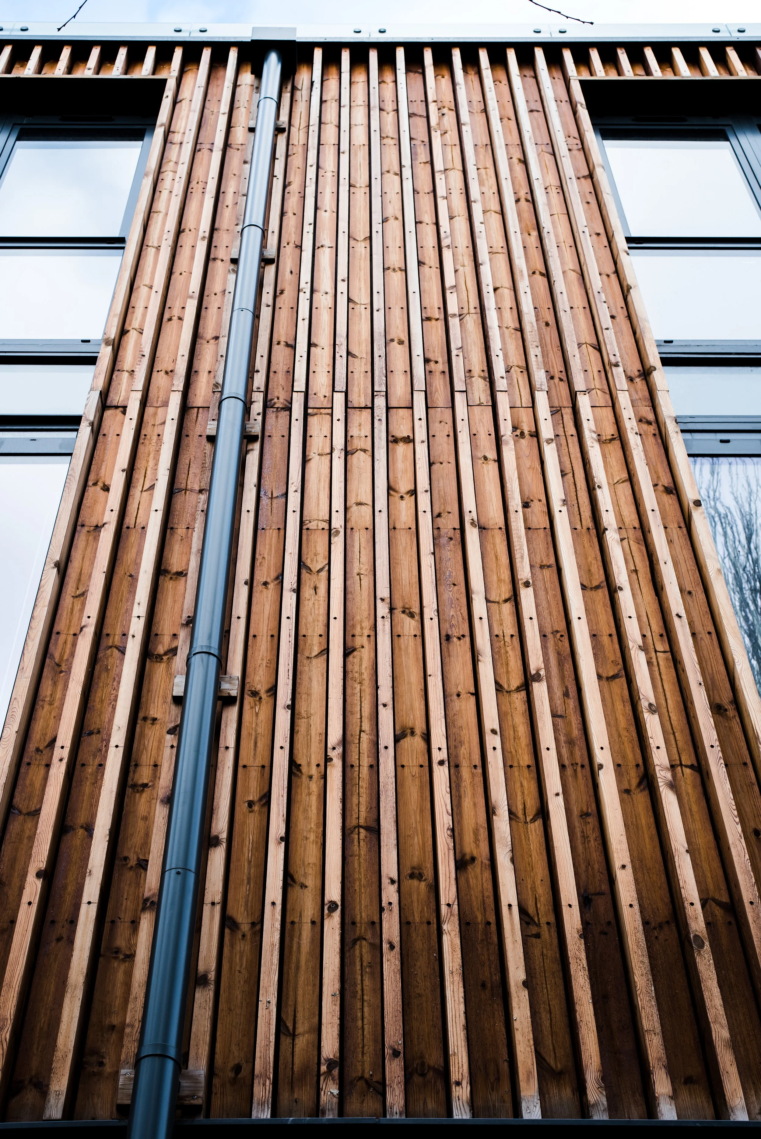 Junior Sealy (14 of 26).jpg