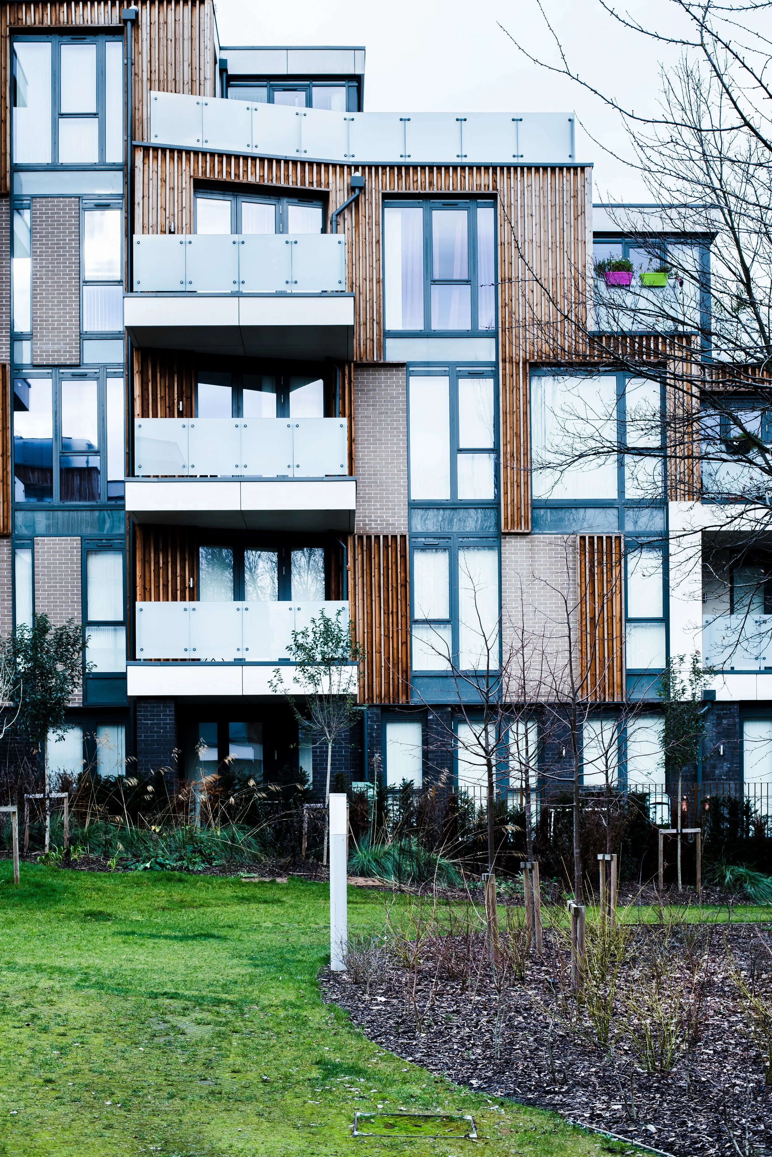 Junior Sealy (10 of 26).jpg