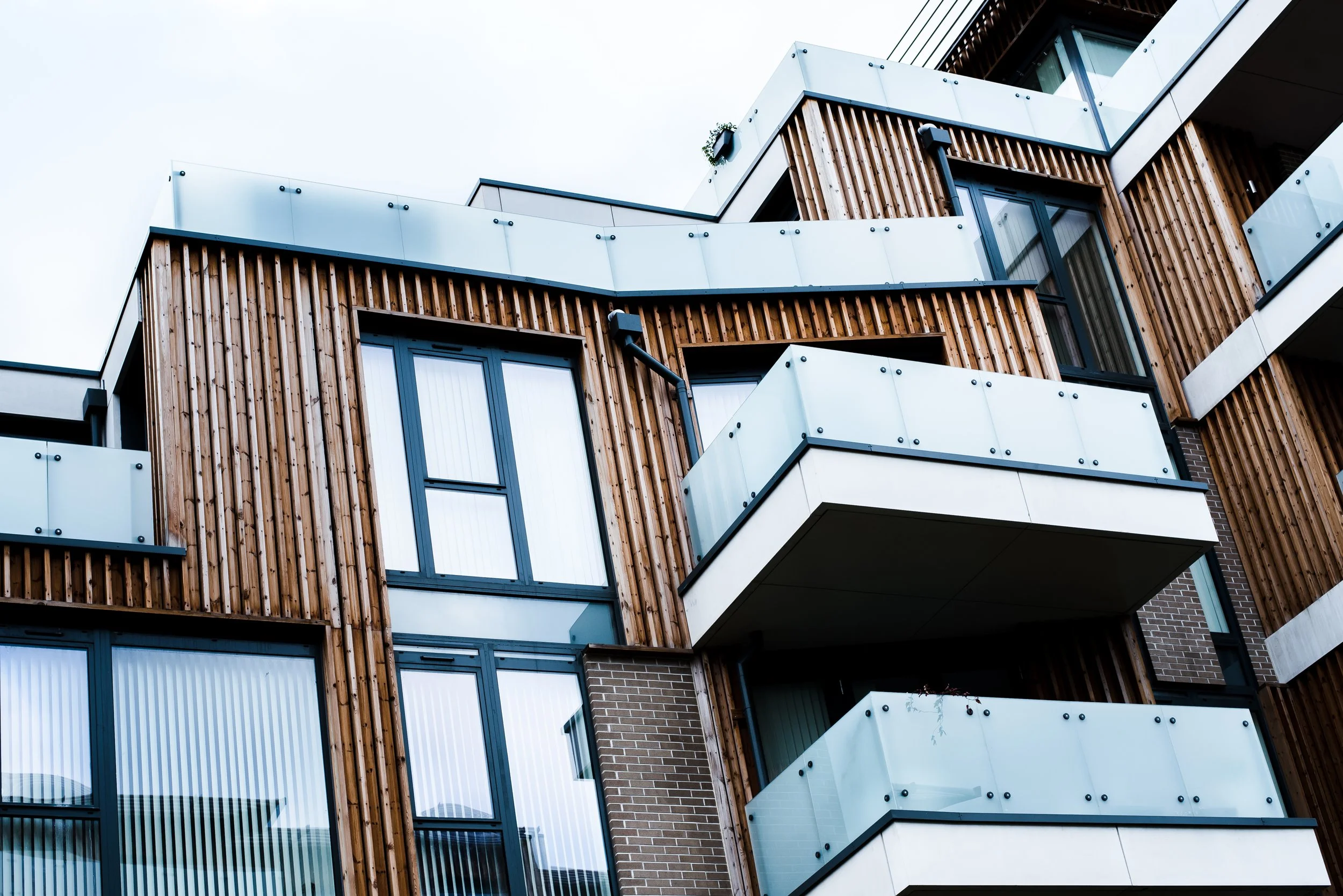 Junior Sealy (18 of 26).jpg