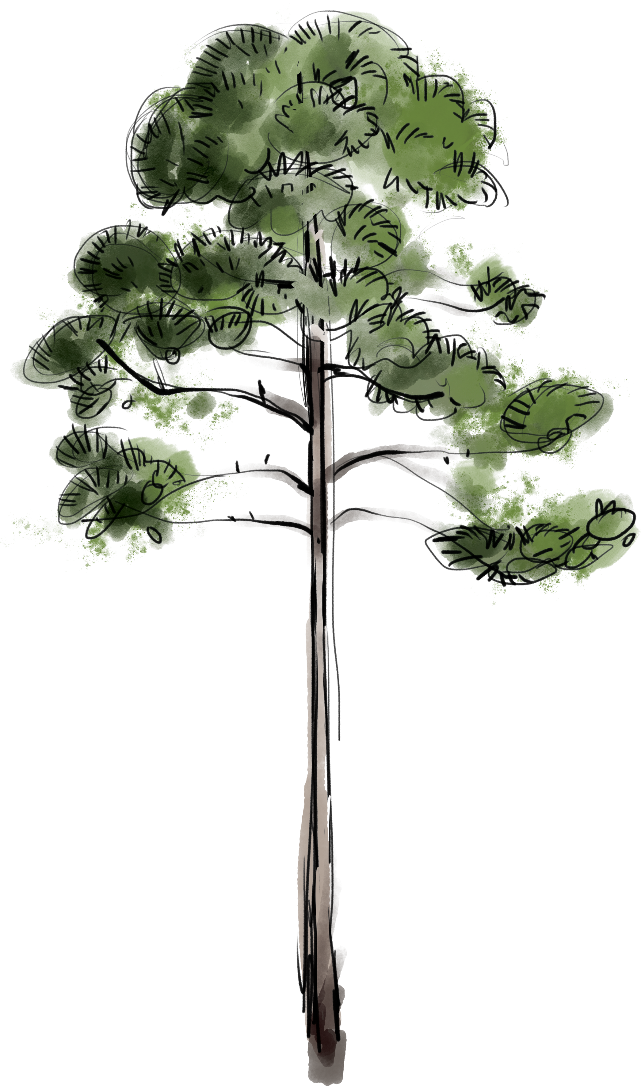 Living Classroom