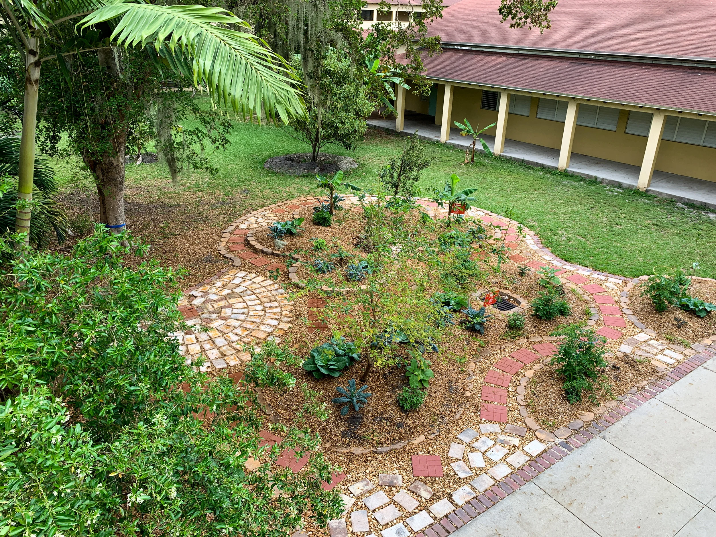 Edible Fruit Forest