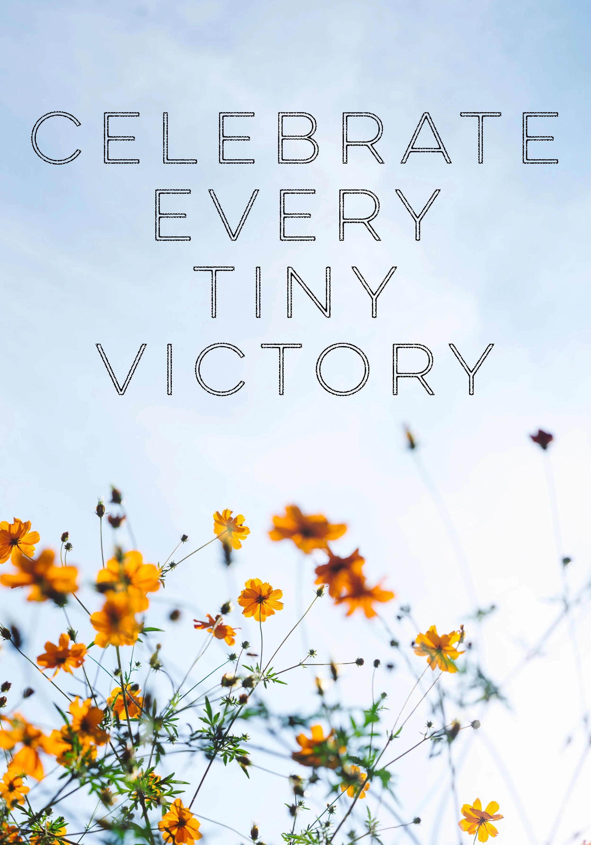 Celebrate Every Tiny Victory