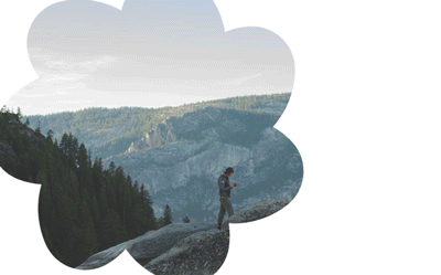 Comp-2_1.gif