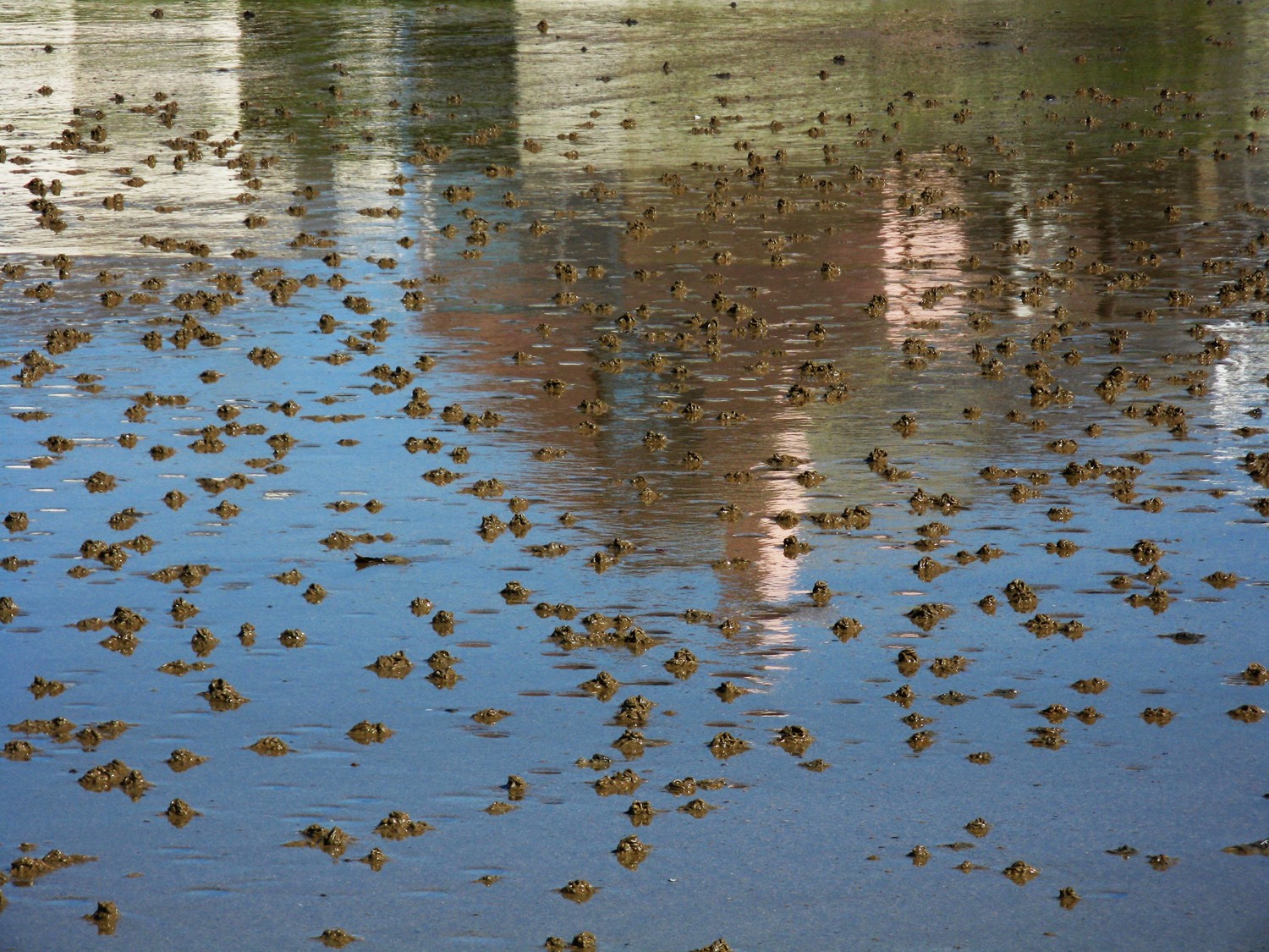  Wet beach at low tide in Rhosneigr, Anglesey, Wales.&nbsp; 2013 
