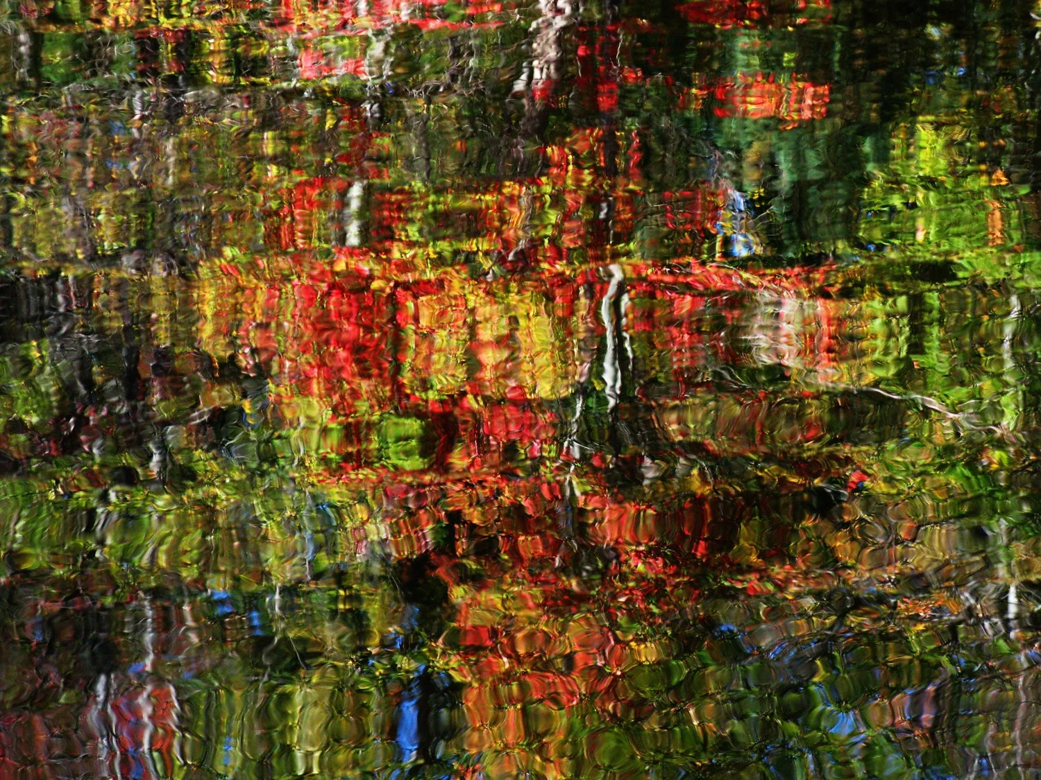  Pond reflection near Moon Bay, Ontario.&nbsp; 2010 