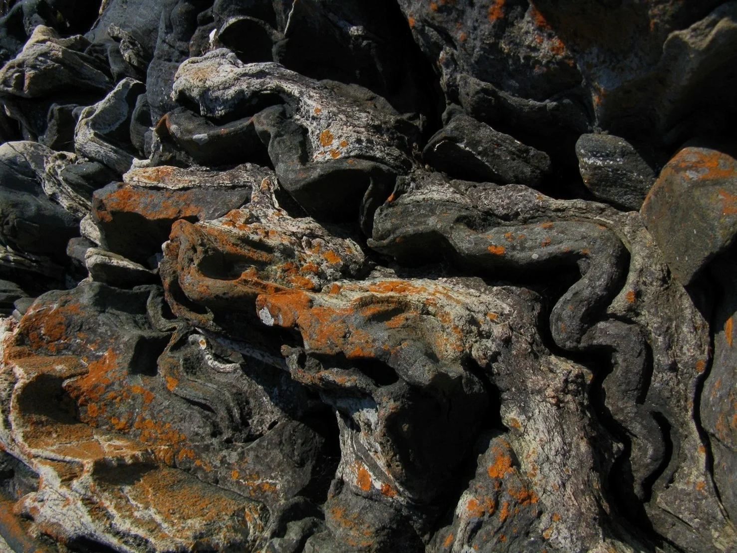  Wreck Island, Georgian Bay, Ontario.&nbsp; 2012 