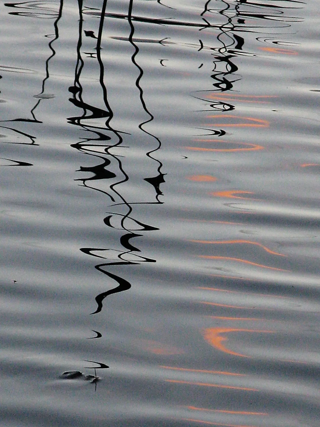  Spider Lake, Massasauga Park.&nbsp; 2010 