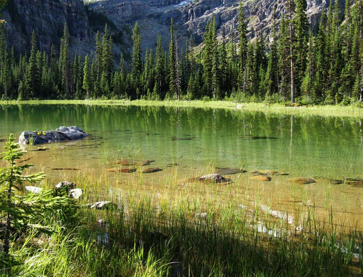  Crystal clear lake in Lake O'Hara Park, Alberta.&nbsp; 2010 