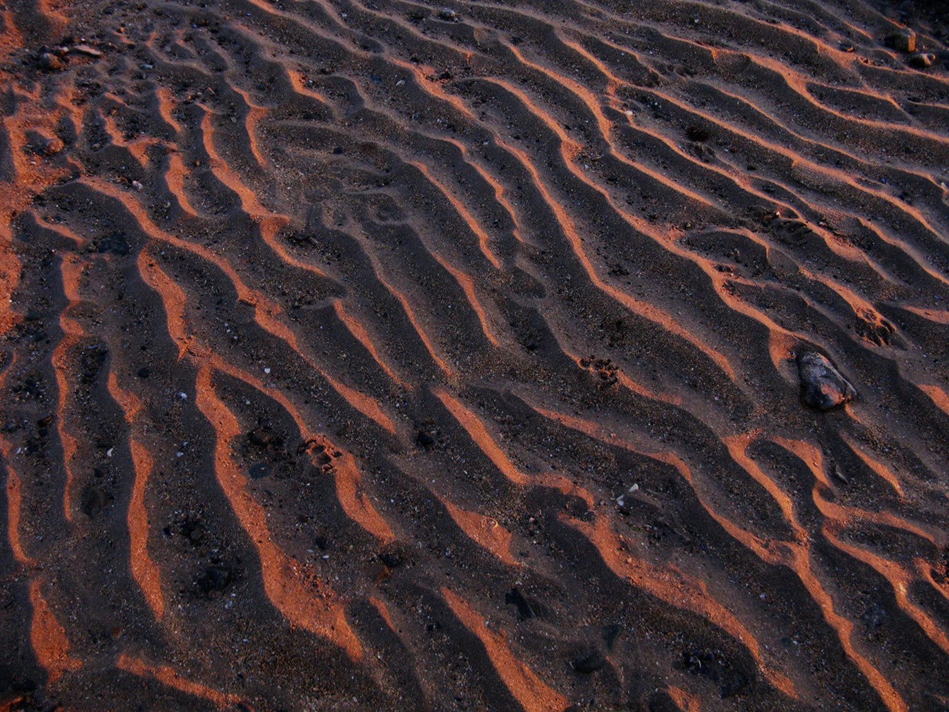  Sand dunes at sunset, Rhosneigr beach, Anglesey, Wales.&nbsp; 2011 