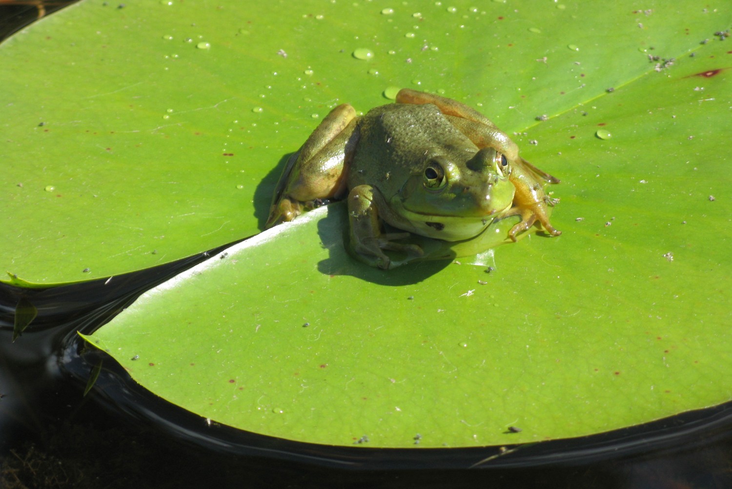  French River Park, Ontario.&nbsp; 2013 
