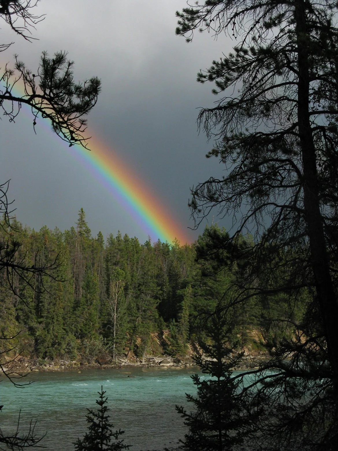  Rainbow over the Athabaska River, Alberta.&nbsp; 2010 