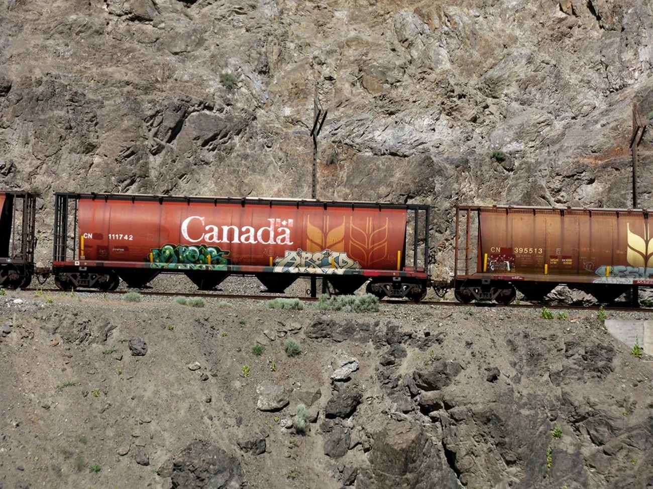  Train in Fraser Valley, British Columbia.&nbsp; 2011 