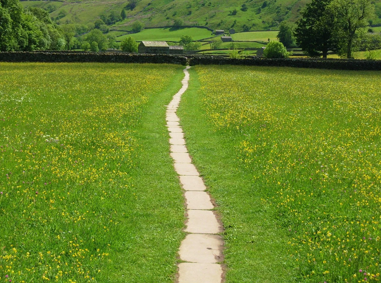  Swaledale footpath, Yorkshire Dales National park, Britain.&nbsp; 2011 