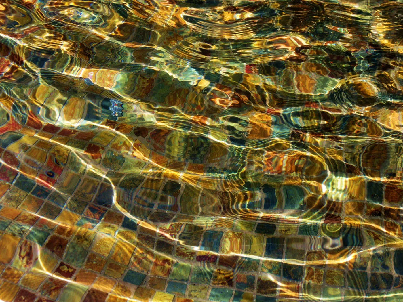  Fountain Pool, Guatemala City.&nbsp; 2016 