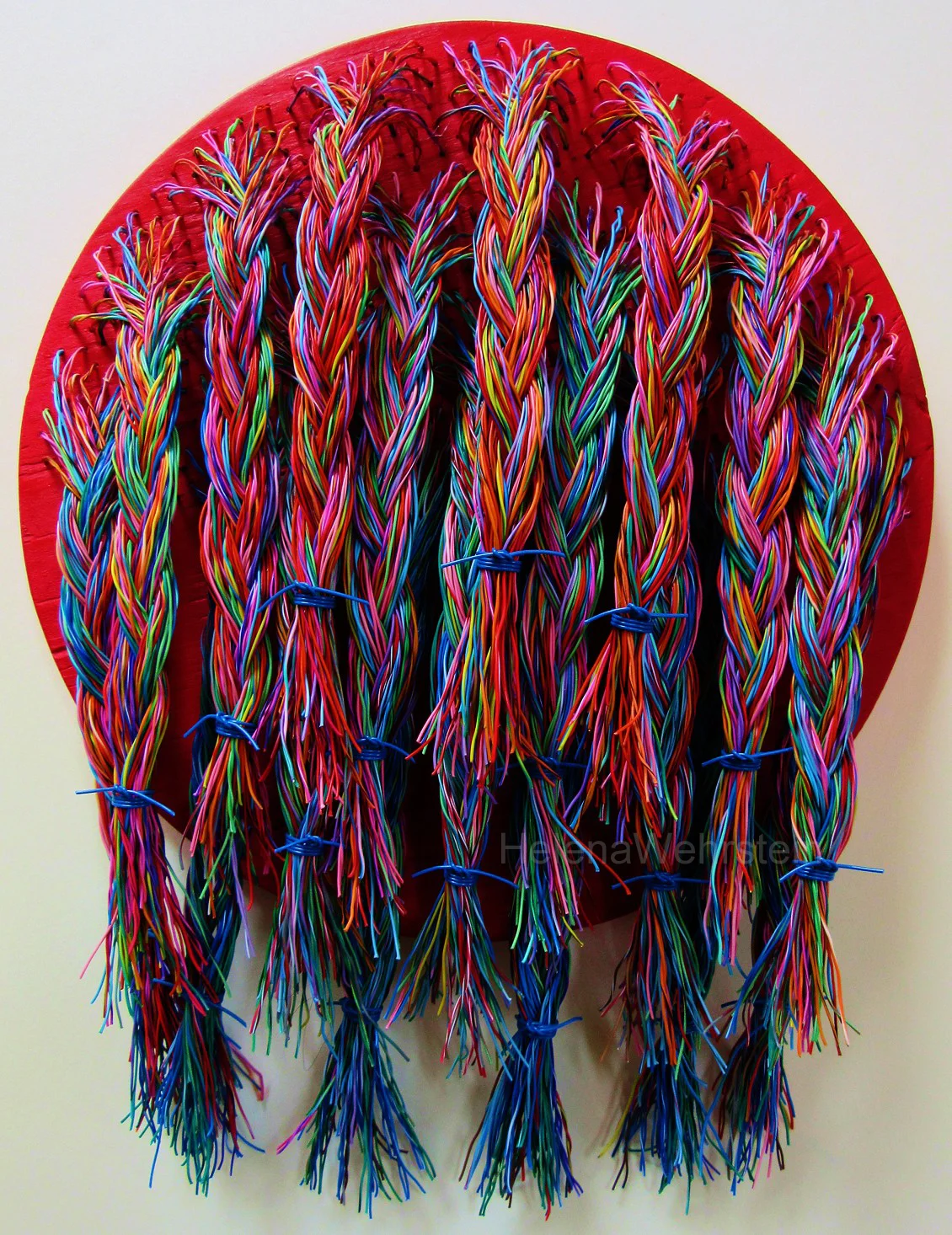 HAIRY TIMES: BRAIDED
