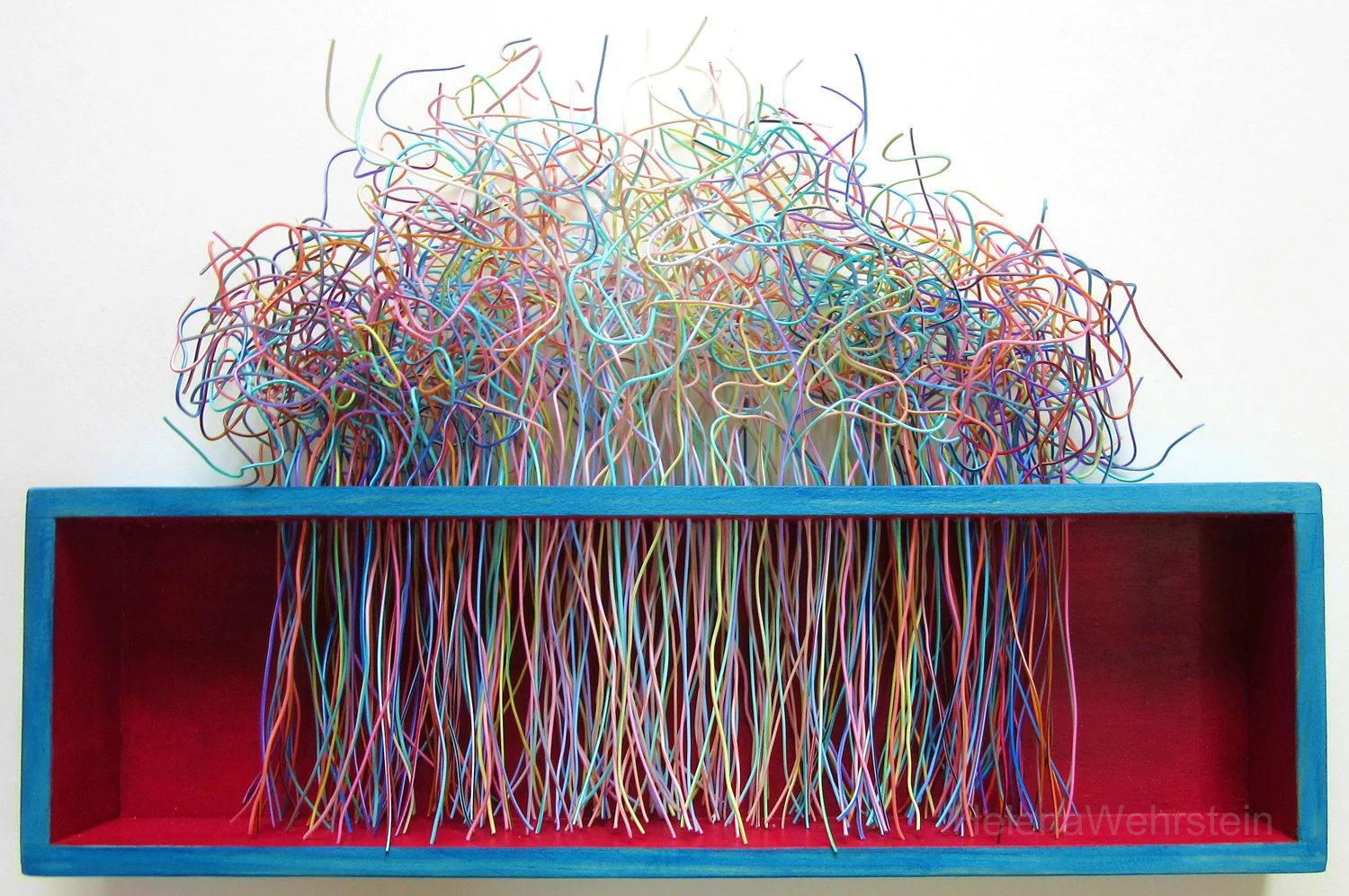 PASTEL ROOTS (Hairy Times Series)