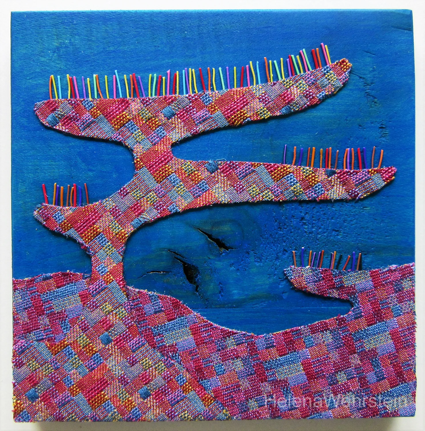 CORAL #1