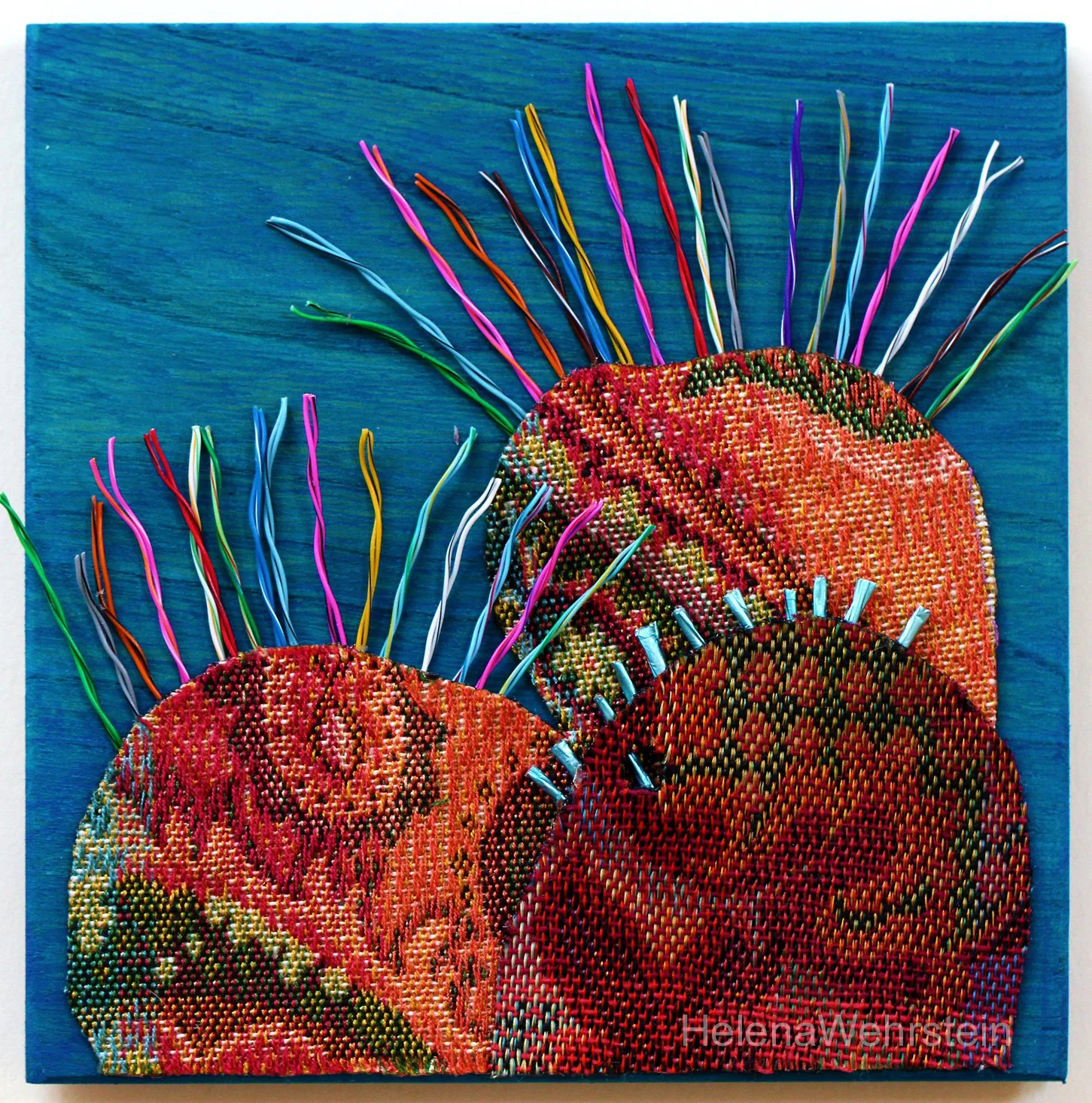 CORAL #2