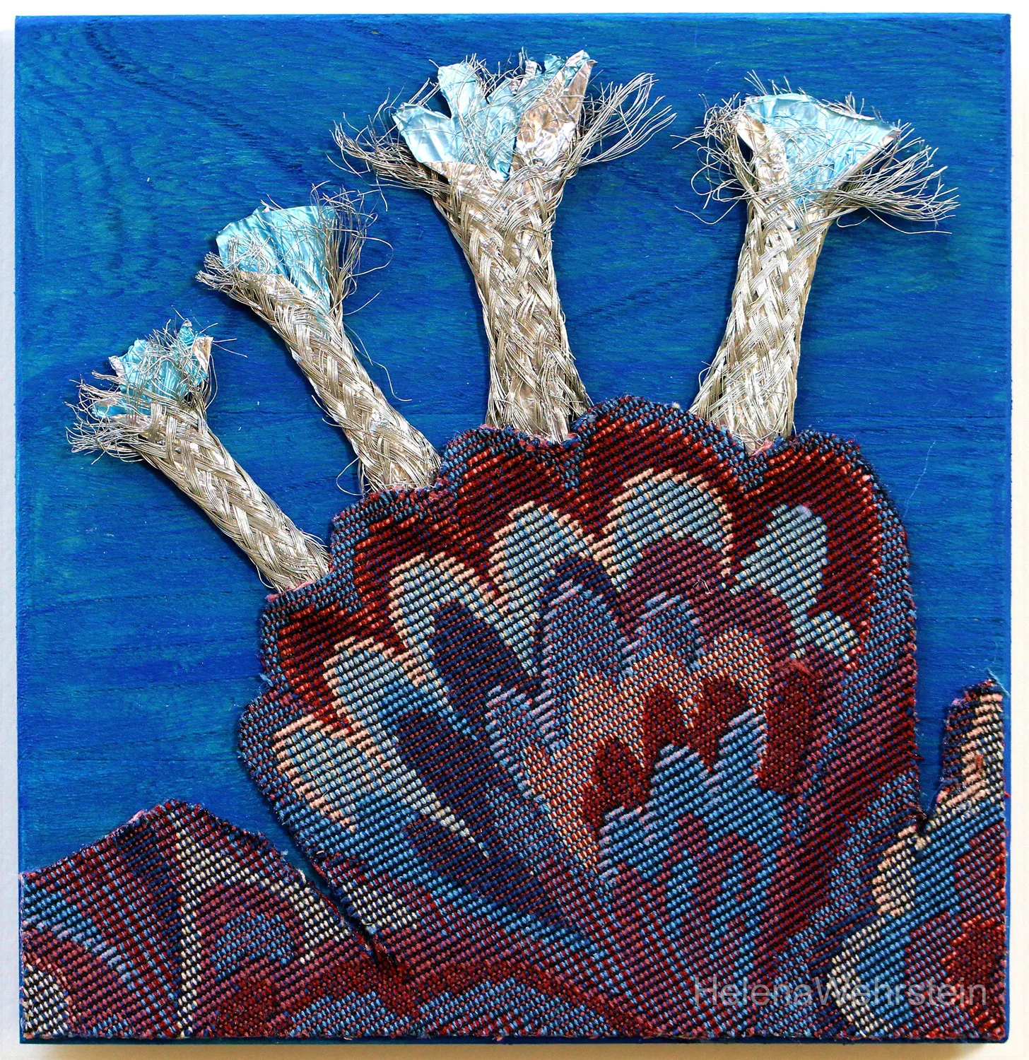 CORAL #4