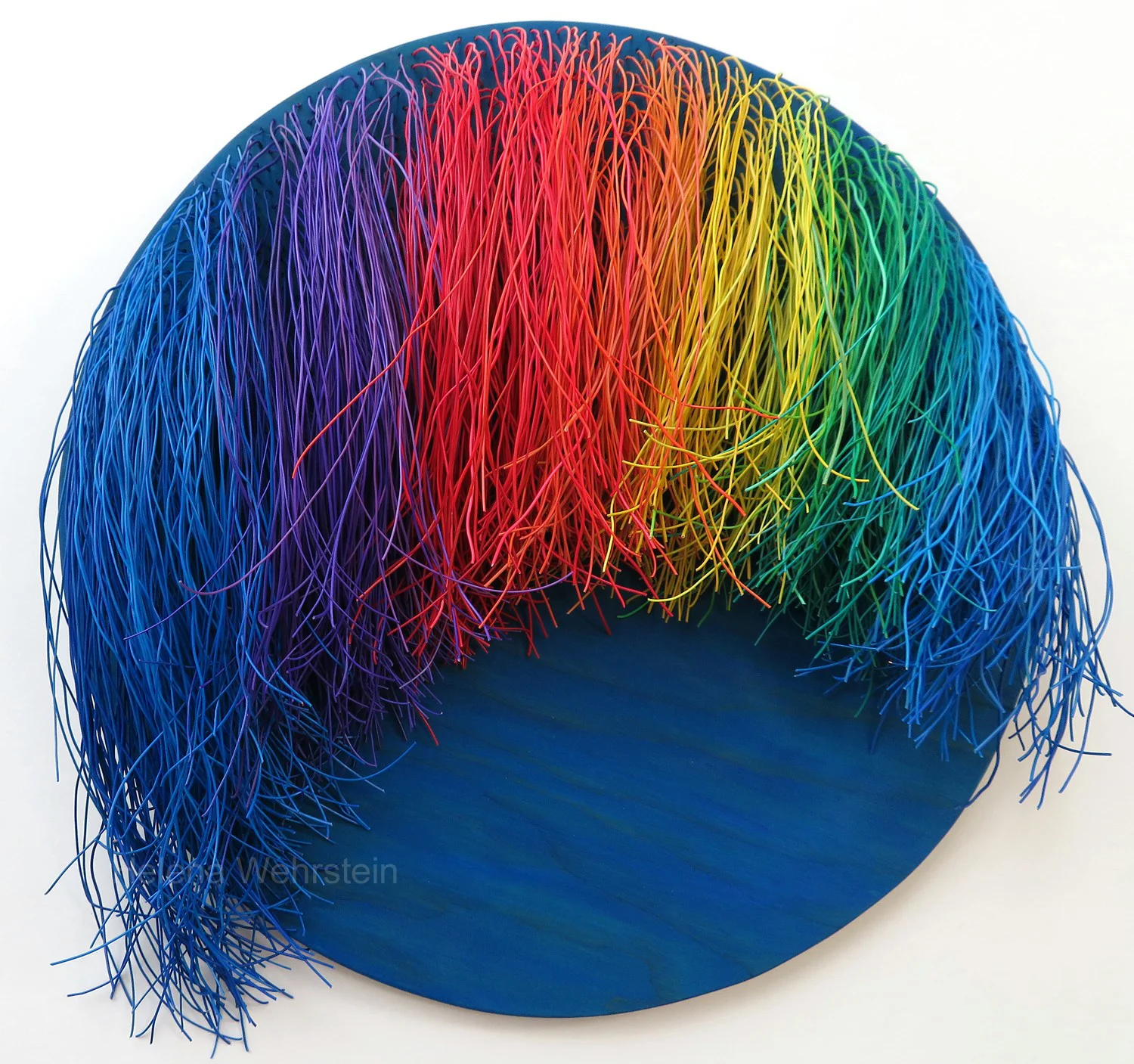 HAIRY TIMES: PRIDE