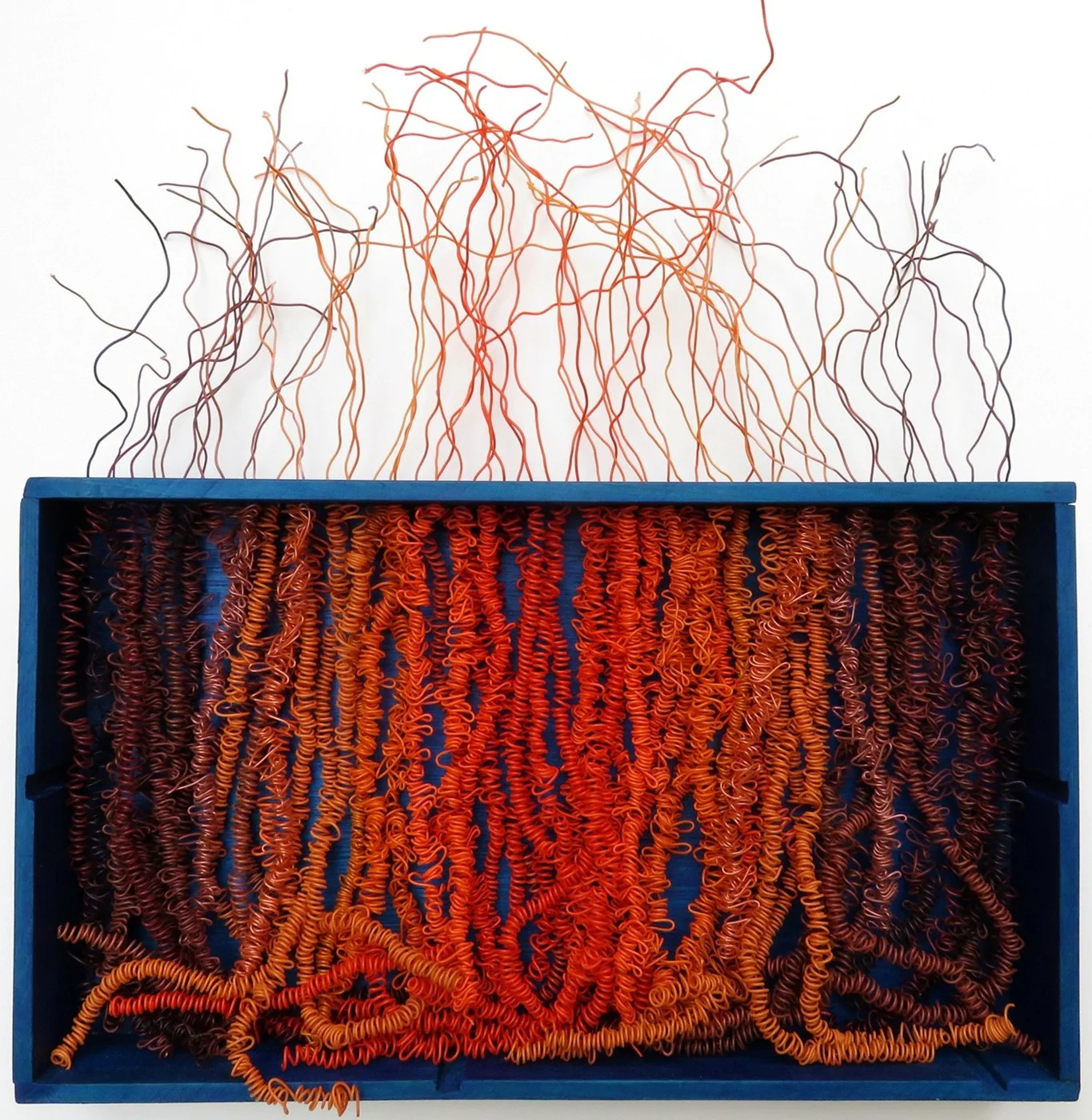 HAIRY TIMES: MAKES THE ROOTS CURL 