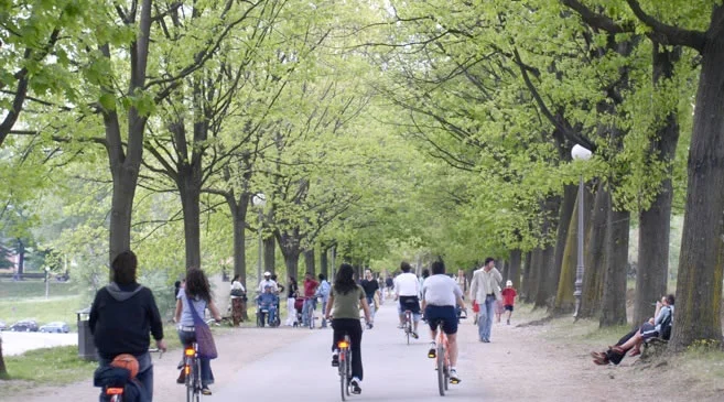 bicycles-lucca.jpg