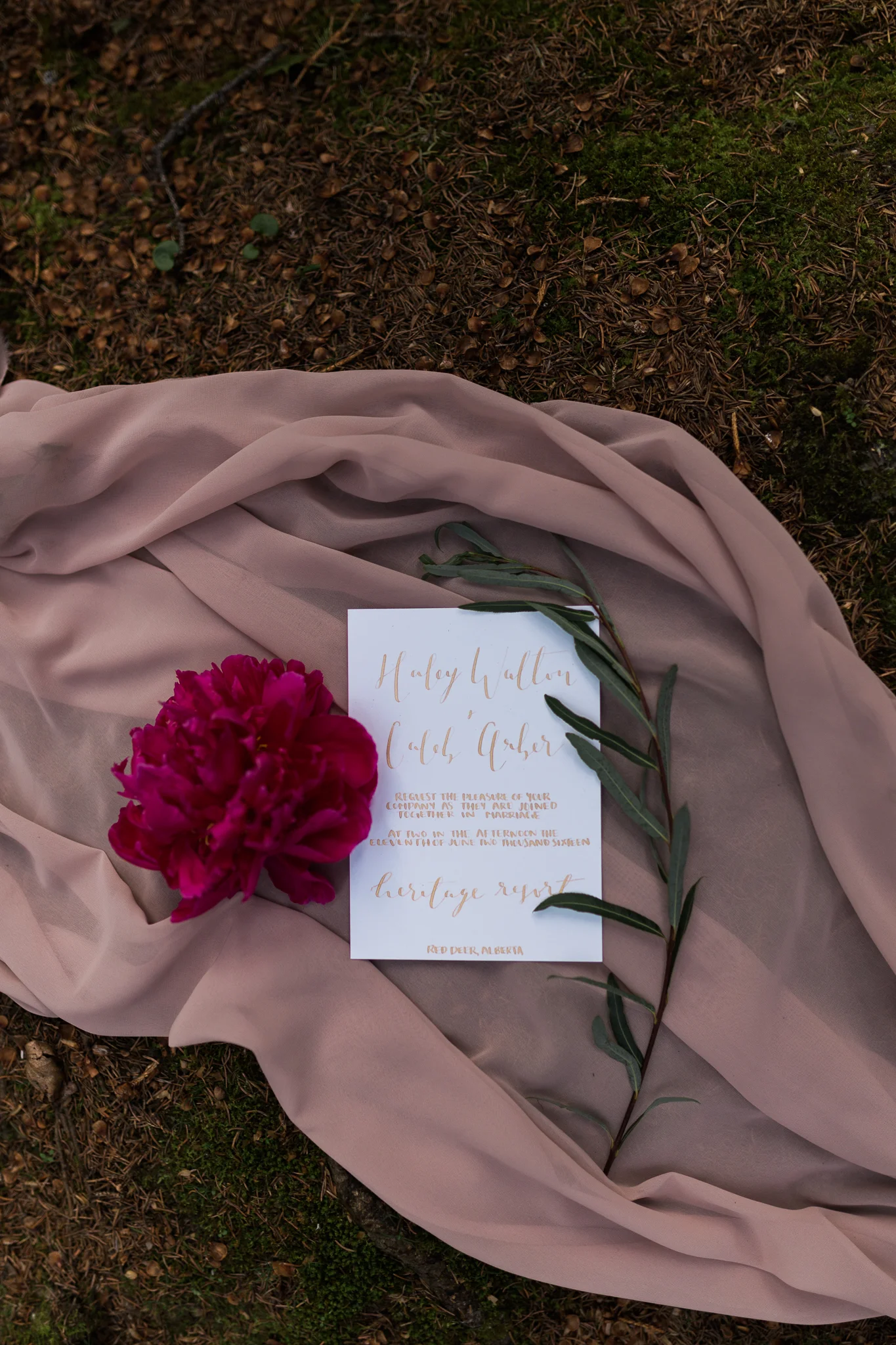 Red Deer Wedding Photographers