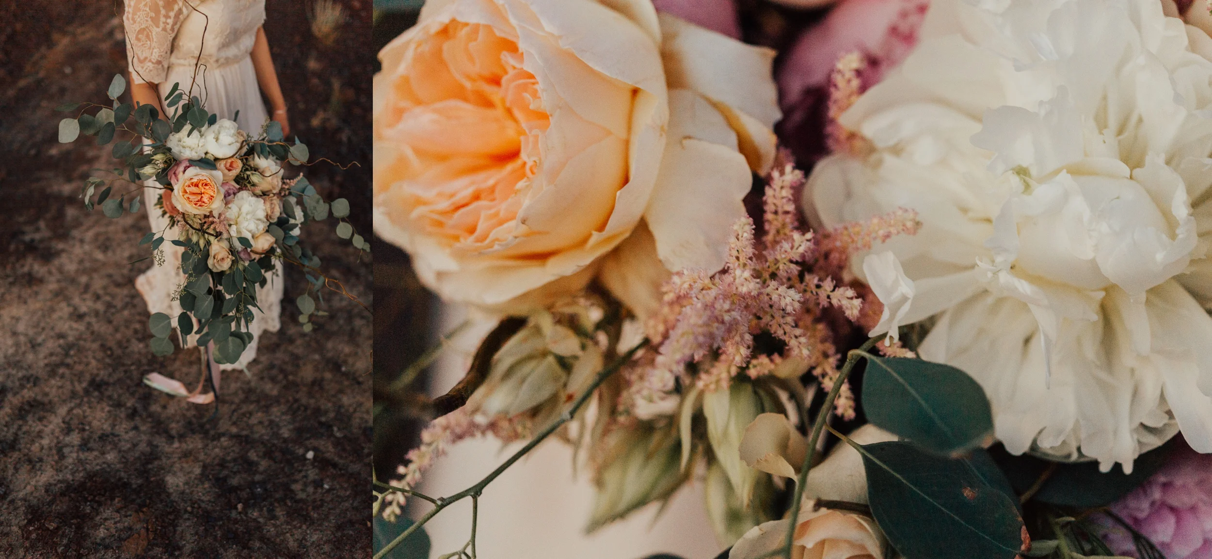 red deer wedding photographers