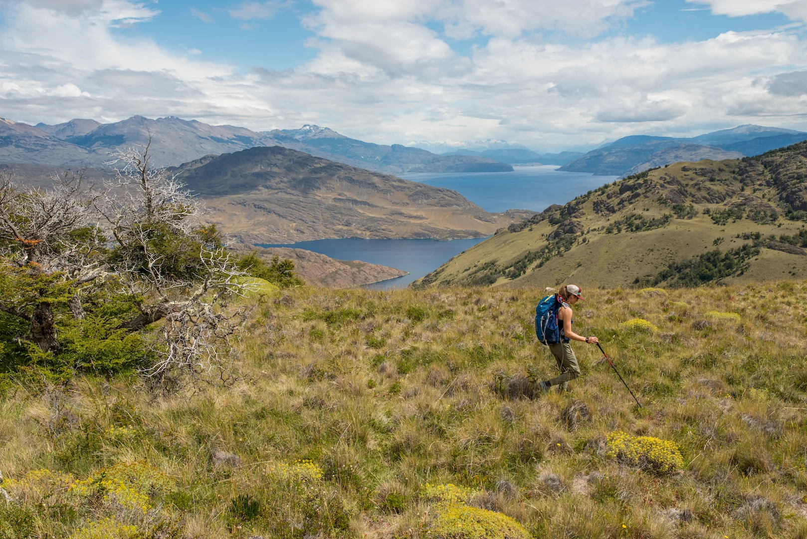 Walking in the Lago Chico region of Patagonia National Park. Photo: Gabe DeWitt