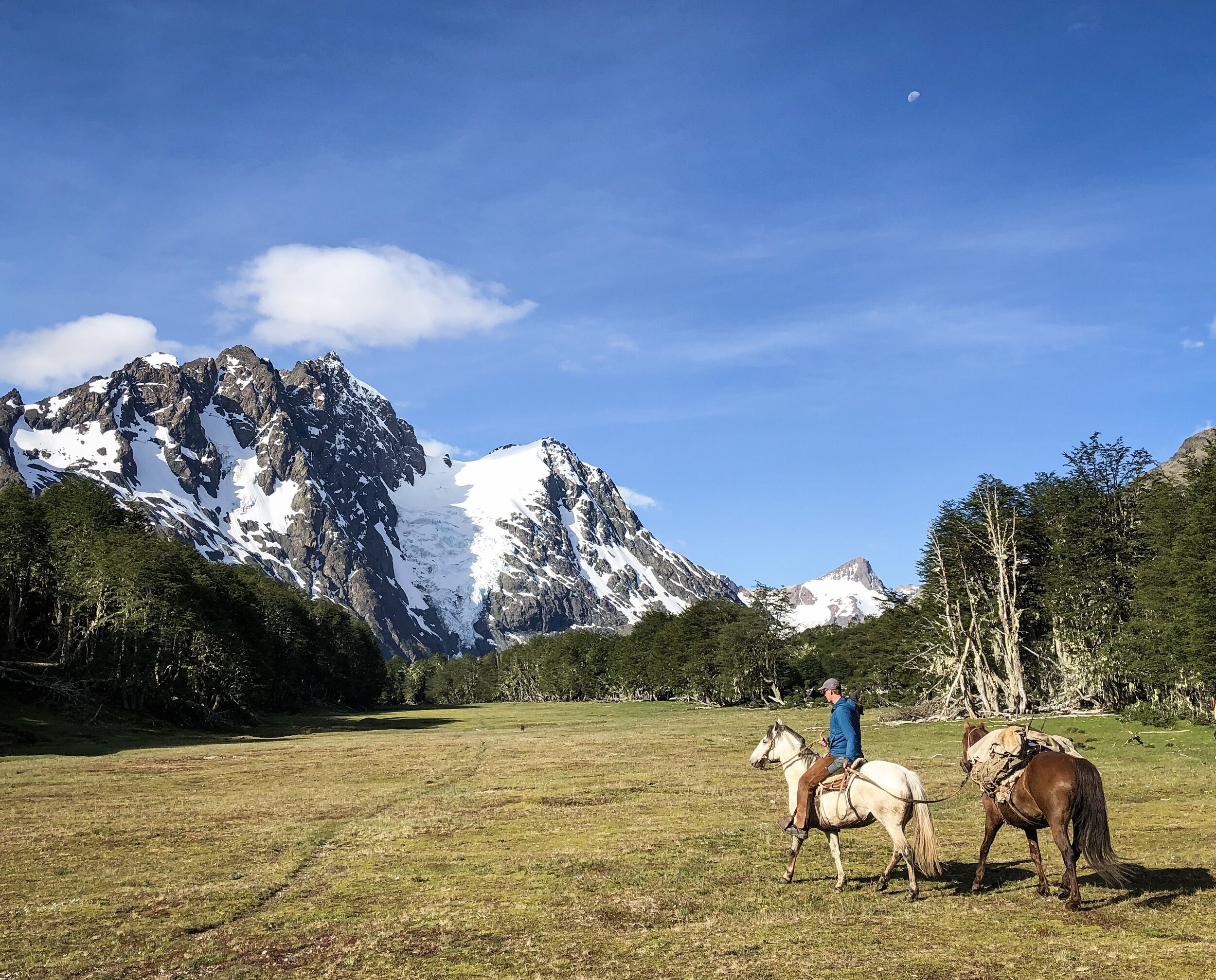 Horse-supported trekking: open meadows with glacier views, just north of Patagonia NP