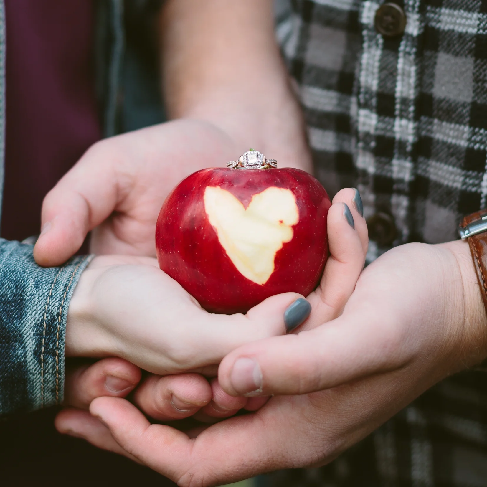 Makenzie & Colt - Apple Orchard Engagement Session - Lynds Fruit Farm - Columbus, Ohio Wedding Photographer