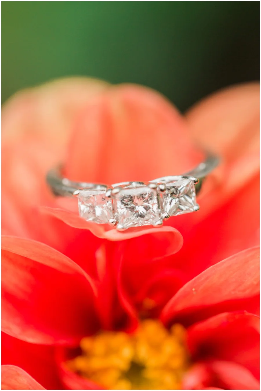 savannahwardphotography_0043.jpg