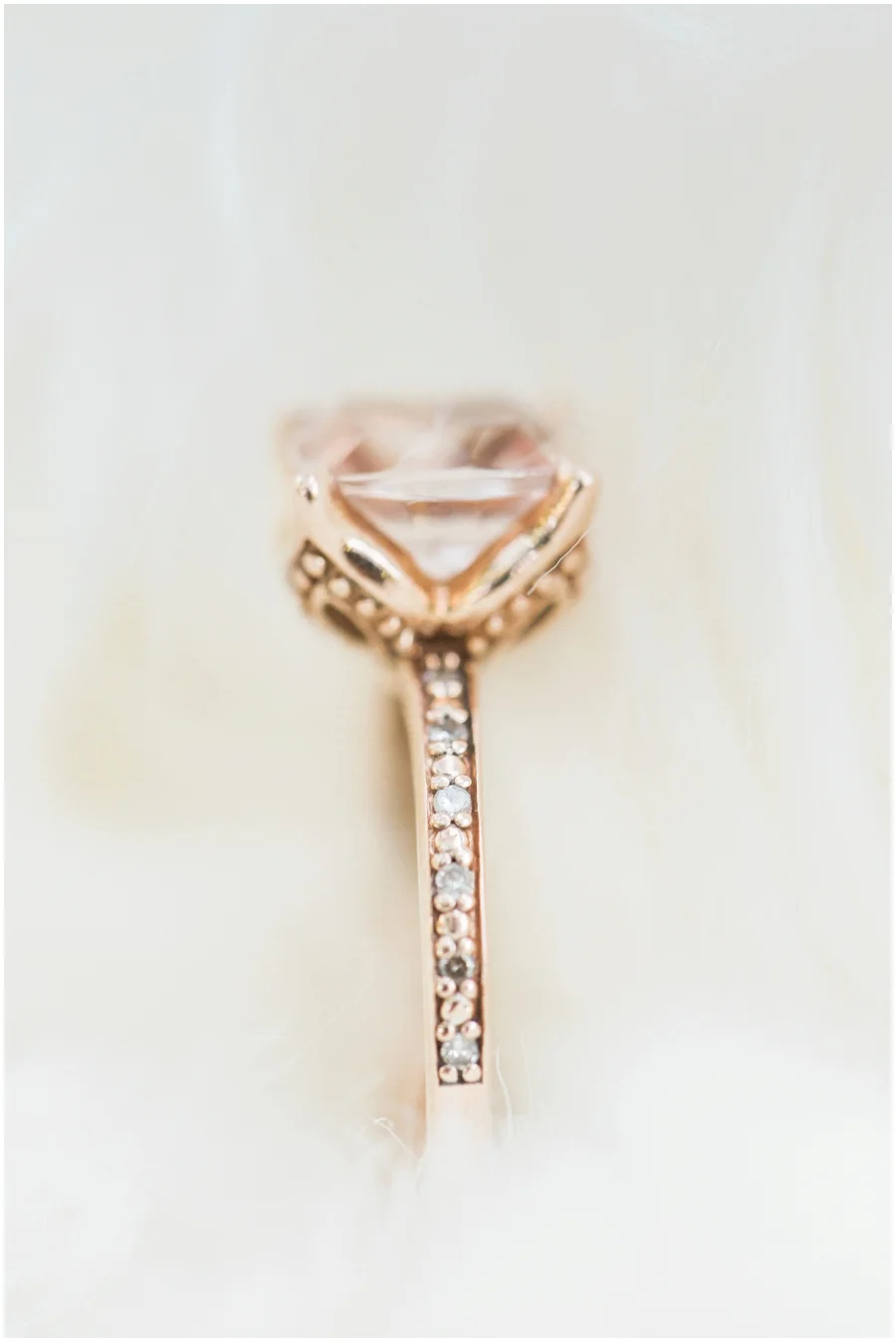 savannahwardphotography_0060.jpg
