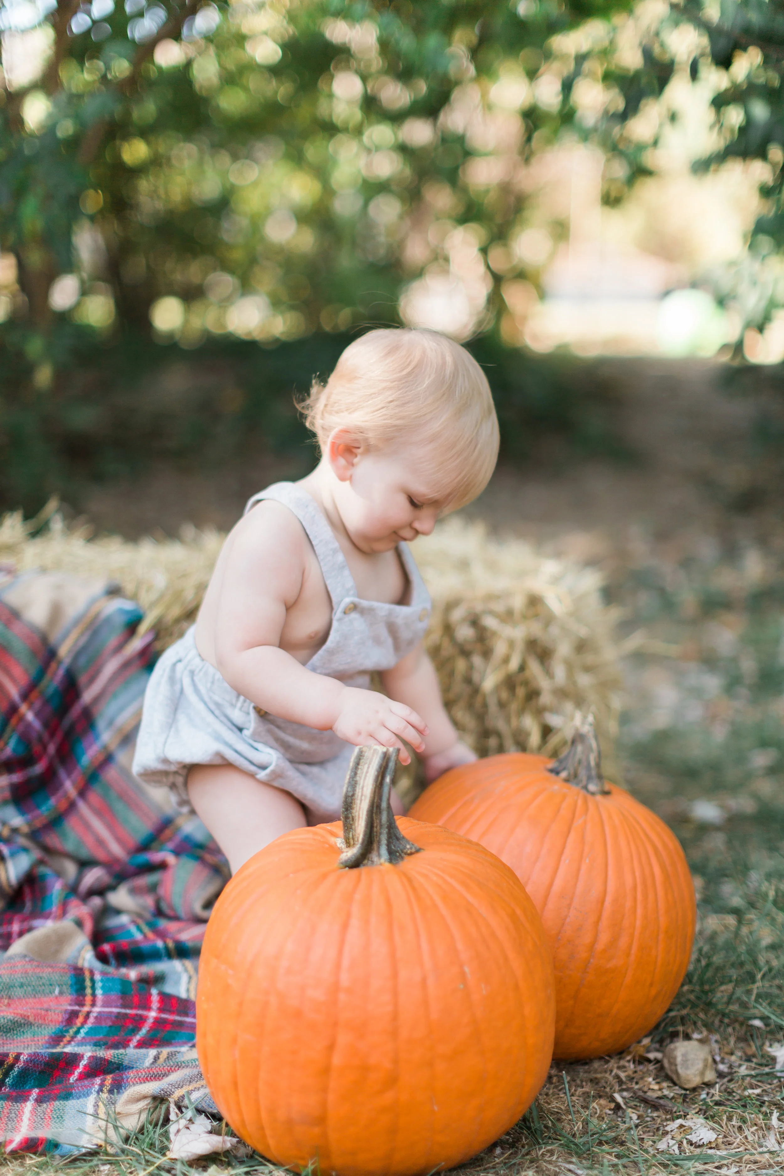 Cash's Farmers Market 1st Birthday Bash! - Personal Post