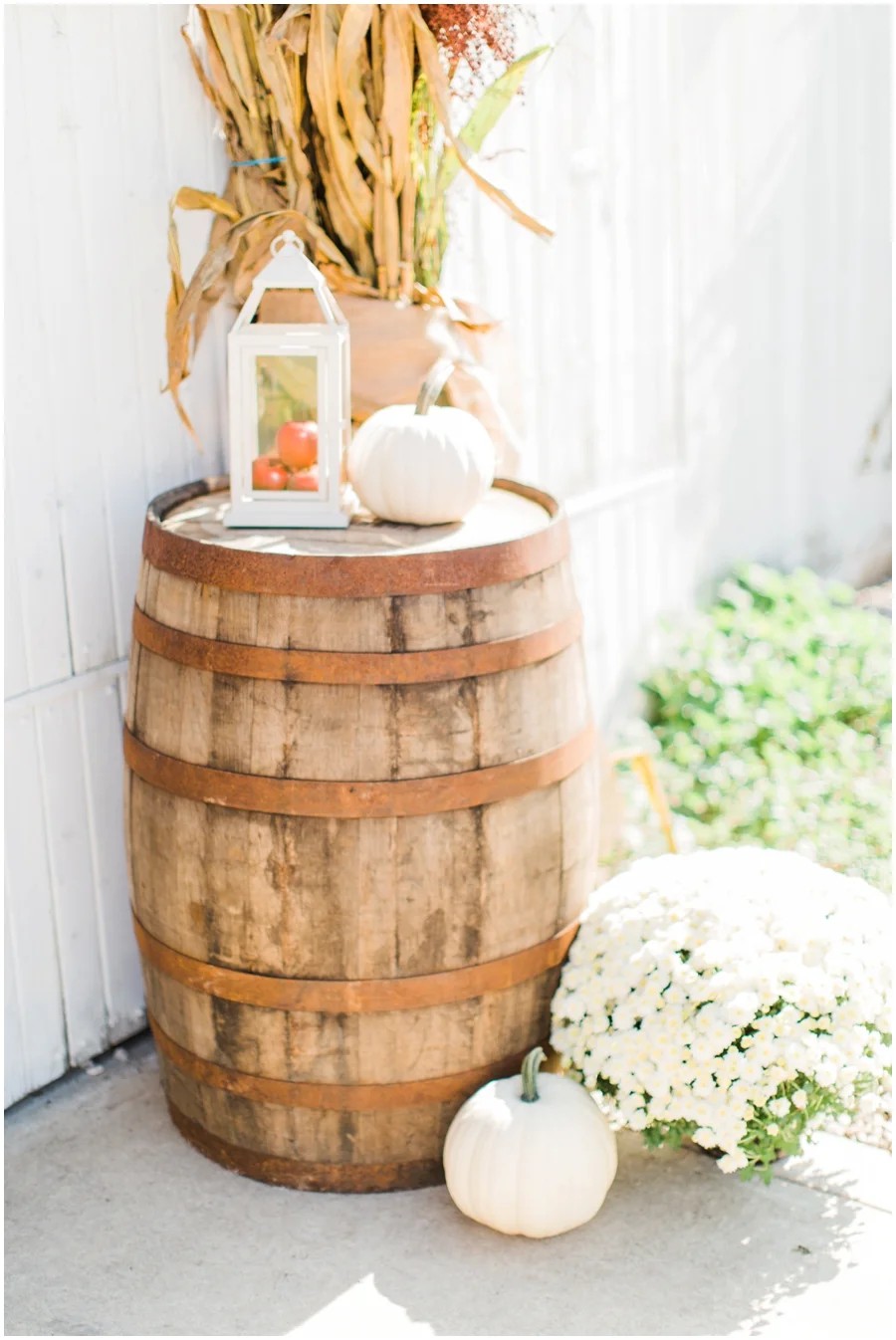 savannahwardphotography_0573.jpg