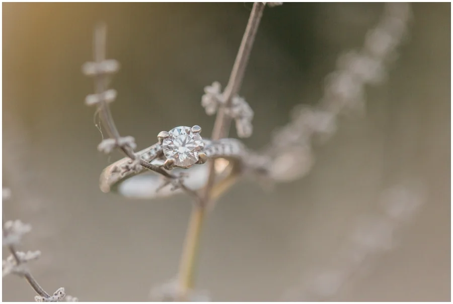 savannahwardphotography_0685.jpg