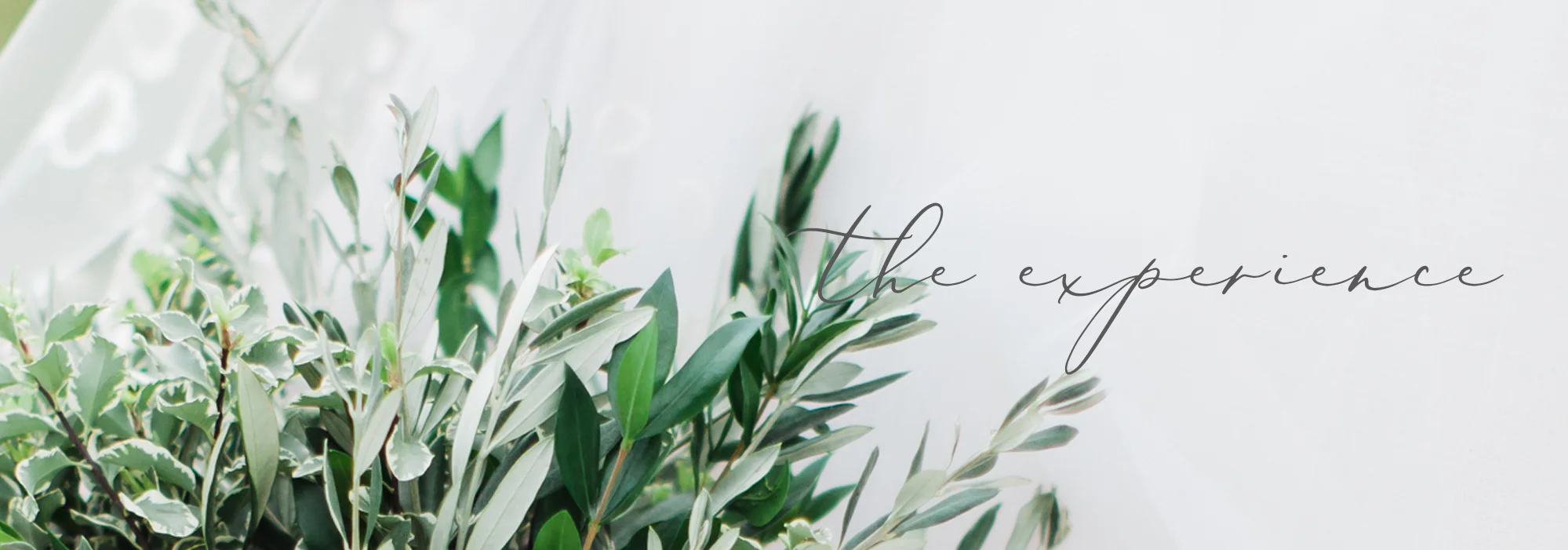 Banner.jpg