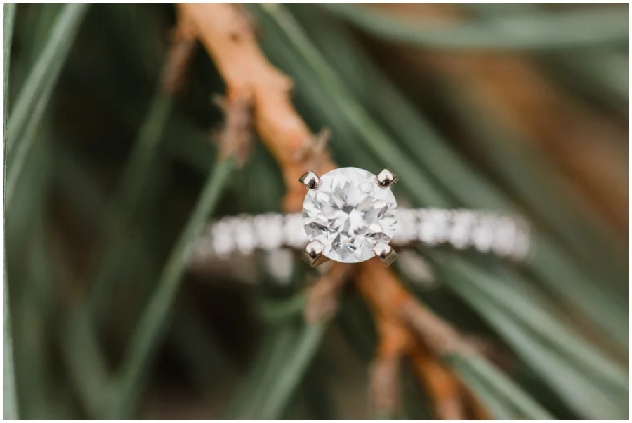 savannahwardphotography_0789.jpg