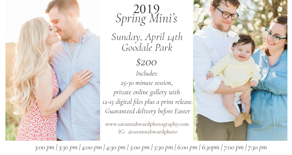 2019SPRINGMINIS.jpg
