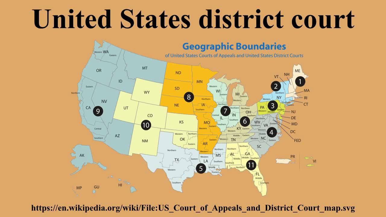 State district. United States District Court. Federal District Courts. USA Federal District. Суды США на карте.