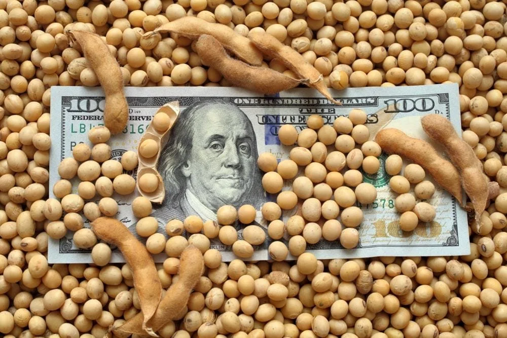 money-US-soybeans-GetttyImages.jpg