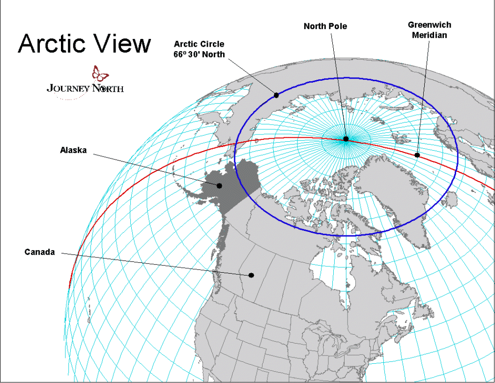 arctic.gif