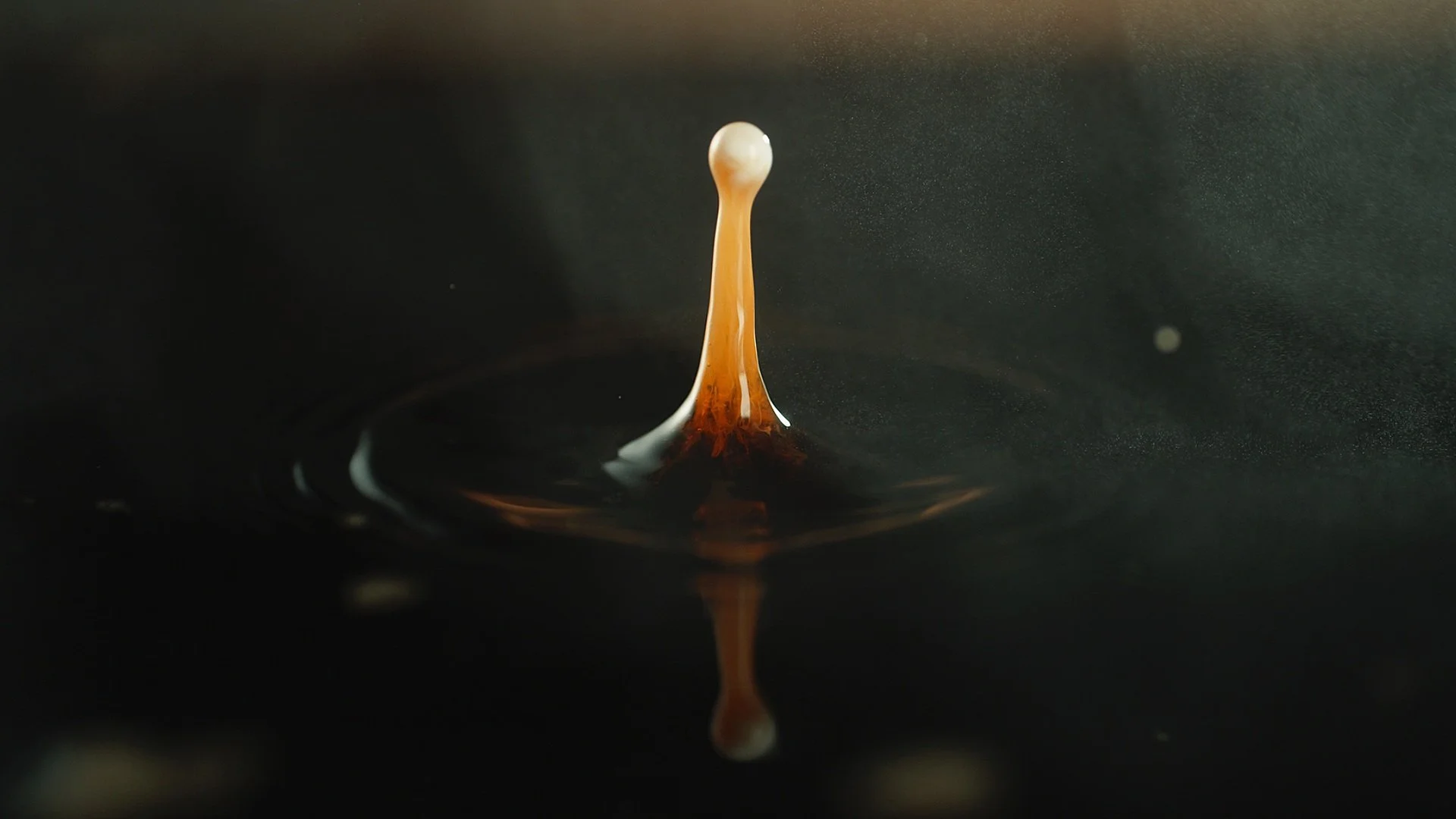 STARBUCKS_ALCHEMY_30