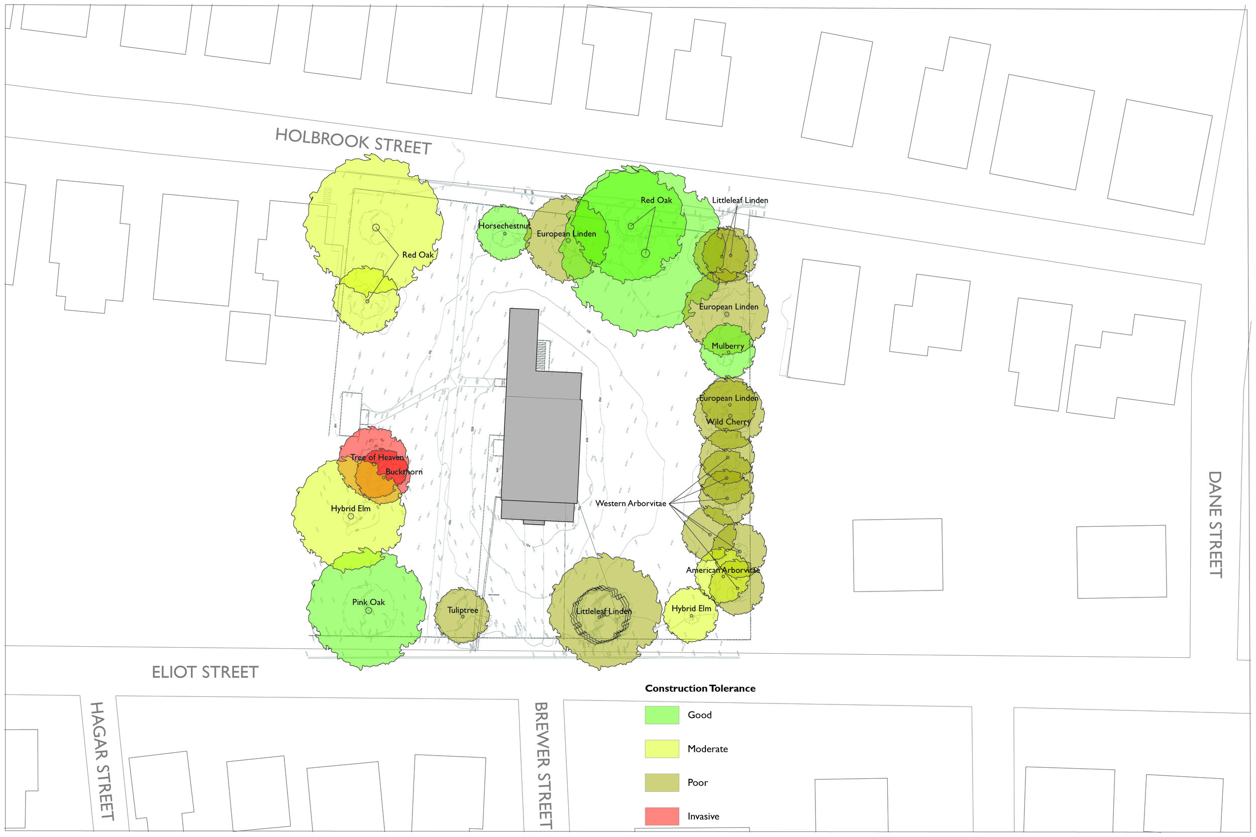 Eliot School_tree tolerance-01.jpg