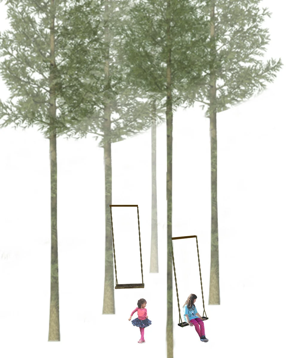 The swing.jpg