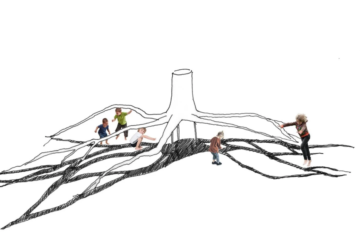 Roots.jpg