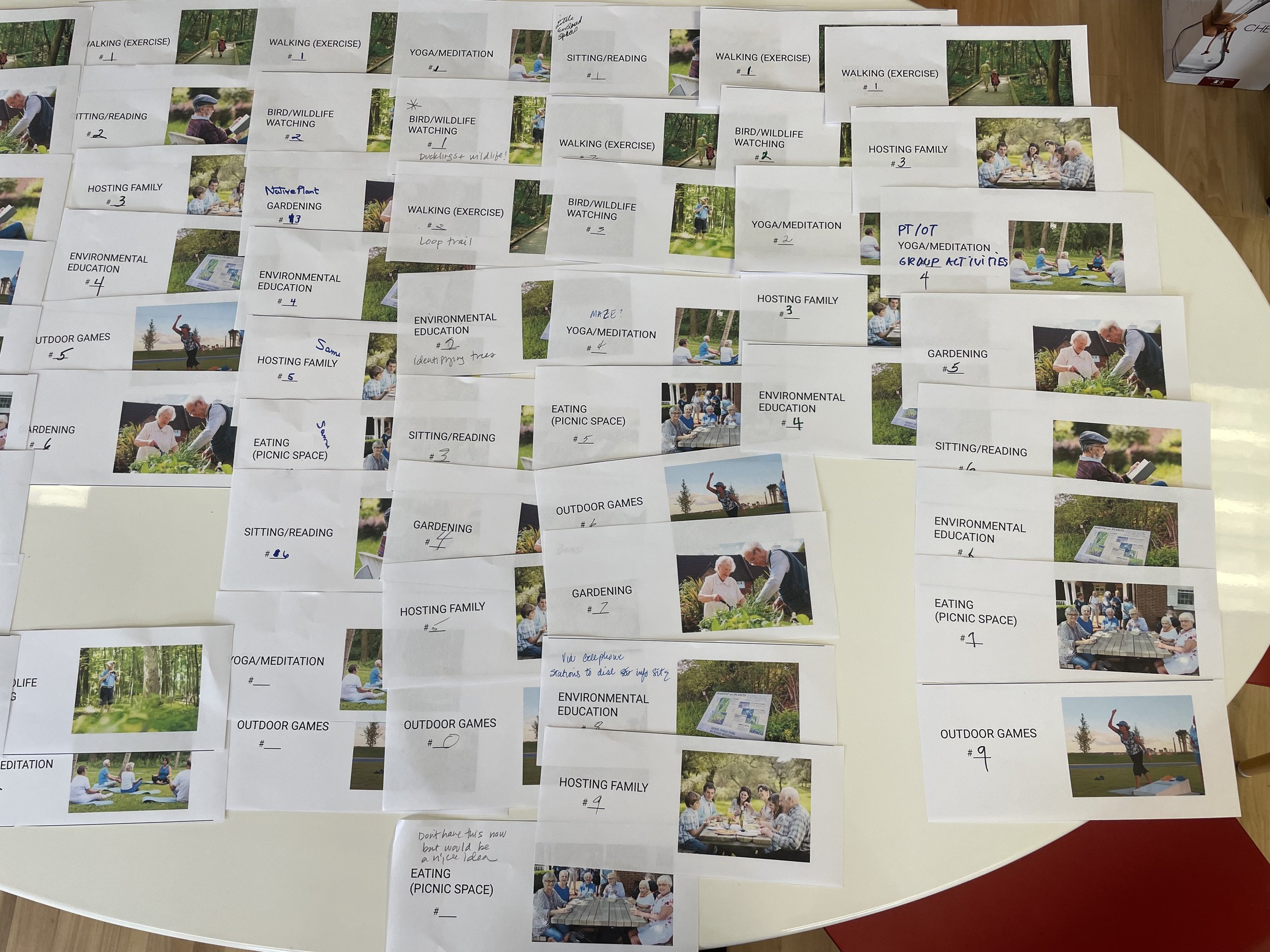 Program Identification Activity from Workshop with Residents