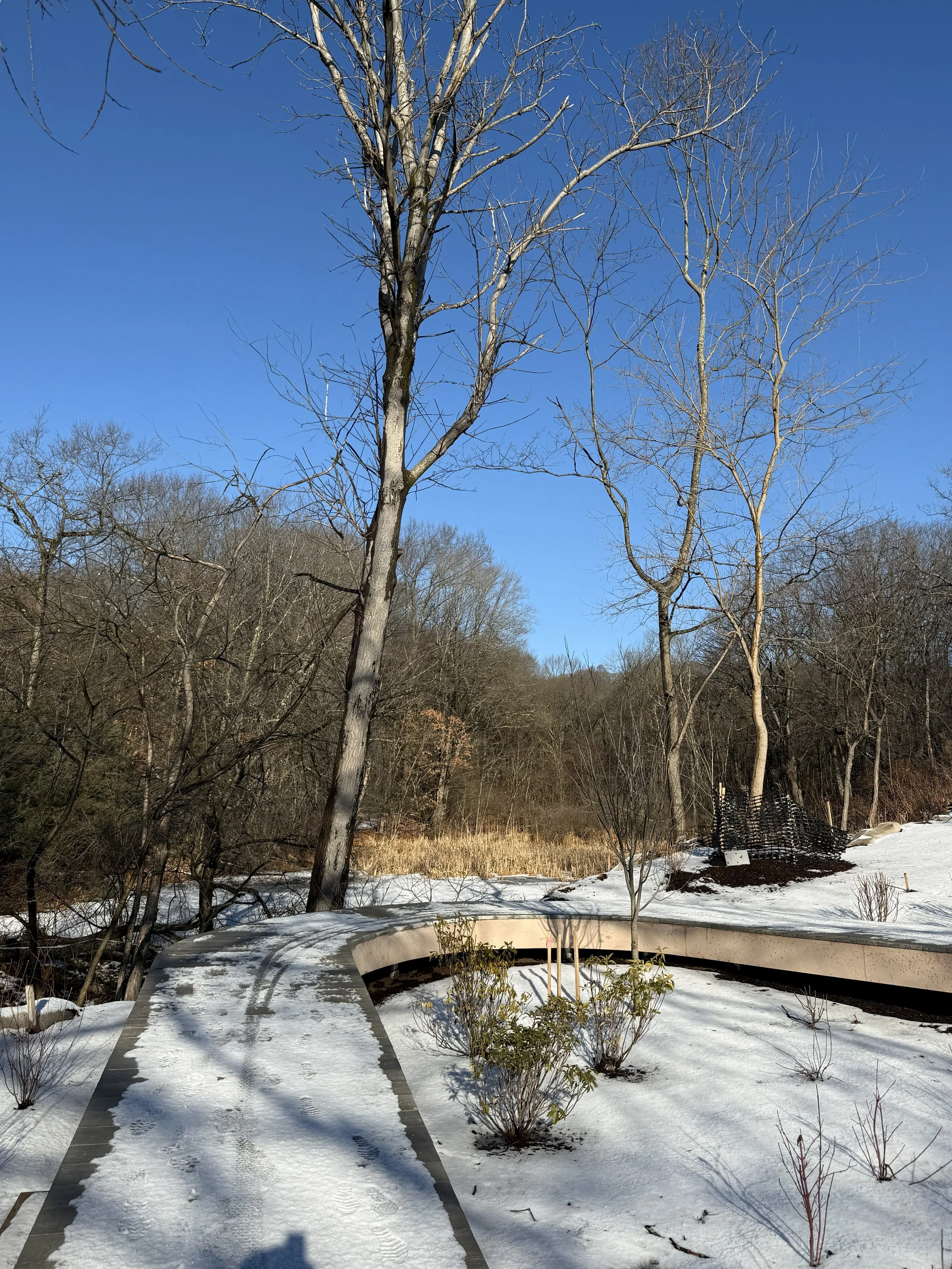 Completed Boardwalk in Winter