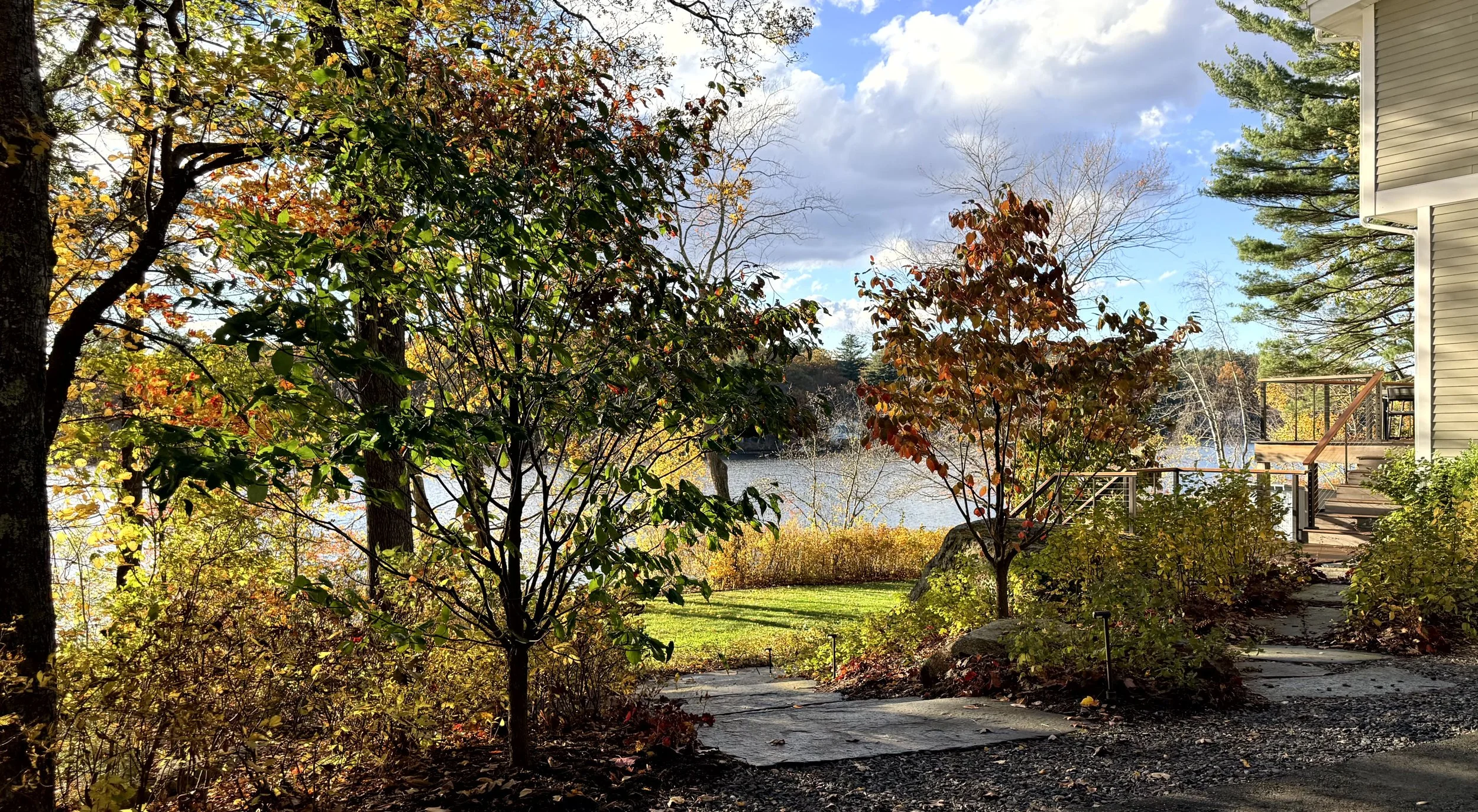 View toward Bear Hill Pond from stone stair